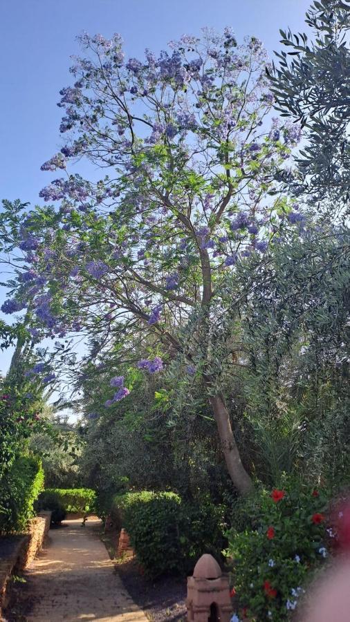 Karibouch Marrakech Daire Marakeş Dış mekan fotoğraf